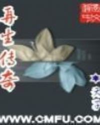 《再生传奇》[现代]作者：天子