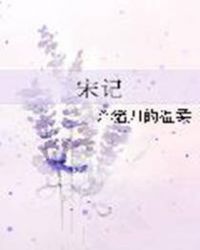 《宋记》[现代]作者：杀猪刀的温柔