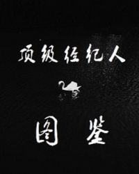 《顶级经纪人图鉴》[现代]作者：泯尘