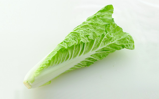 【奶白菜】的功效与作用_【奶白菜】的营养价值_食材百科