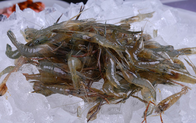 【江虾】的功效与作用_【江虾】的营养价值_食材百科
