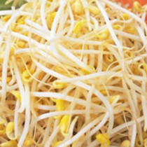 【豆芽】的功效与作用_【豆芽】的营养价值_食材百科