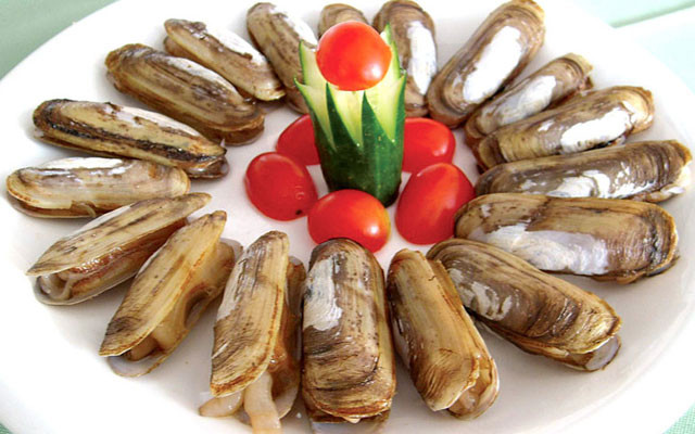【蛏子】的功效与作用_【蛏子】的营养价值_食材百科