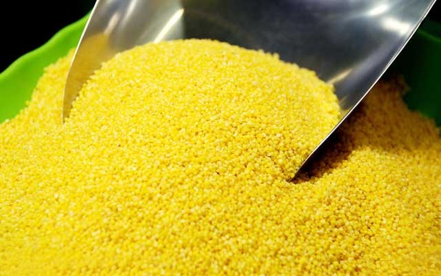 【黄米】的功效与作用_【黄米】的营养价值_食材百科