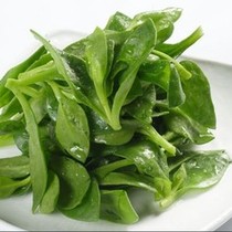 【穿心莲】的功效与作用_【穿心莲】的营养价值_食材百科