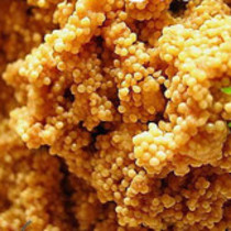 水产：其他水产：【鱼卵】的功效与作用_【鱼卵】的营养价值_食材百科图片