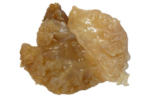 水产：其他水产：【海蜇】的功效与作用_【海蜇】的营养价值_食材百科图片
