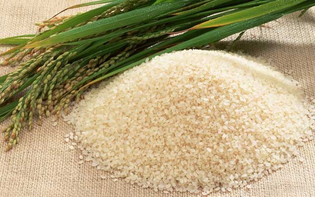 【香米】的功效与作用_【香米】的营养价值_食材百科