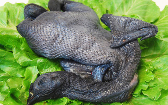 【乌骨鸡】的功效与作用_【乌骨鸡】的营养价值_食材百科