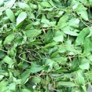 【鸡屎藤】的功效与作用_【鸡屎藤】的营养价值_食材百科