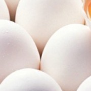 【小农鸡蛋】的功效与作用_【小农鸡蛋】的营养价值_食材百科